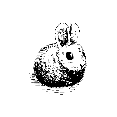 Hare mascot